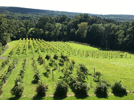 Six Mile Creek Vineyard