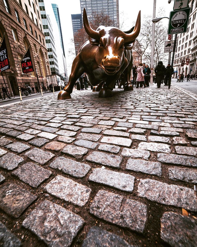Charging Bull (Wall Street Bull)