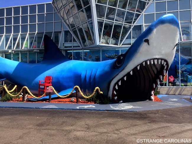 Jaws