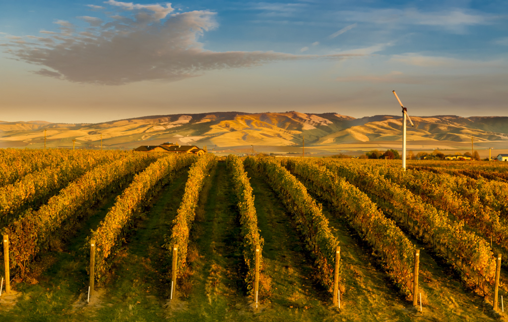 Spring Valley Vineyard Tasting Room