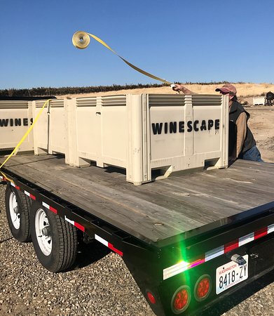 Winescape Winery