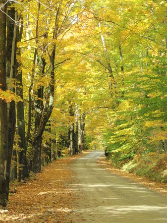 Lincoln Gap Road
