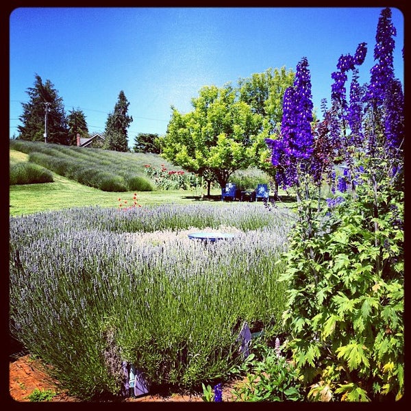 Jardin du Soleil