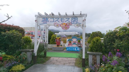Kyoto Tamba, Kameoka Yumecosmos Garden