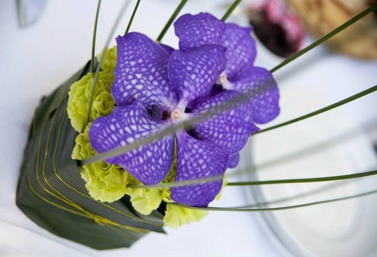 Kadò Flower Design