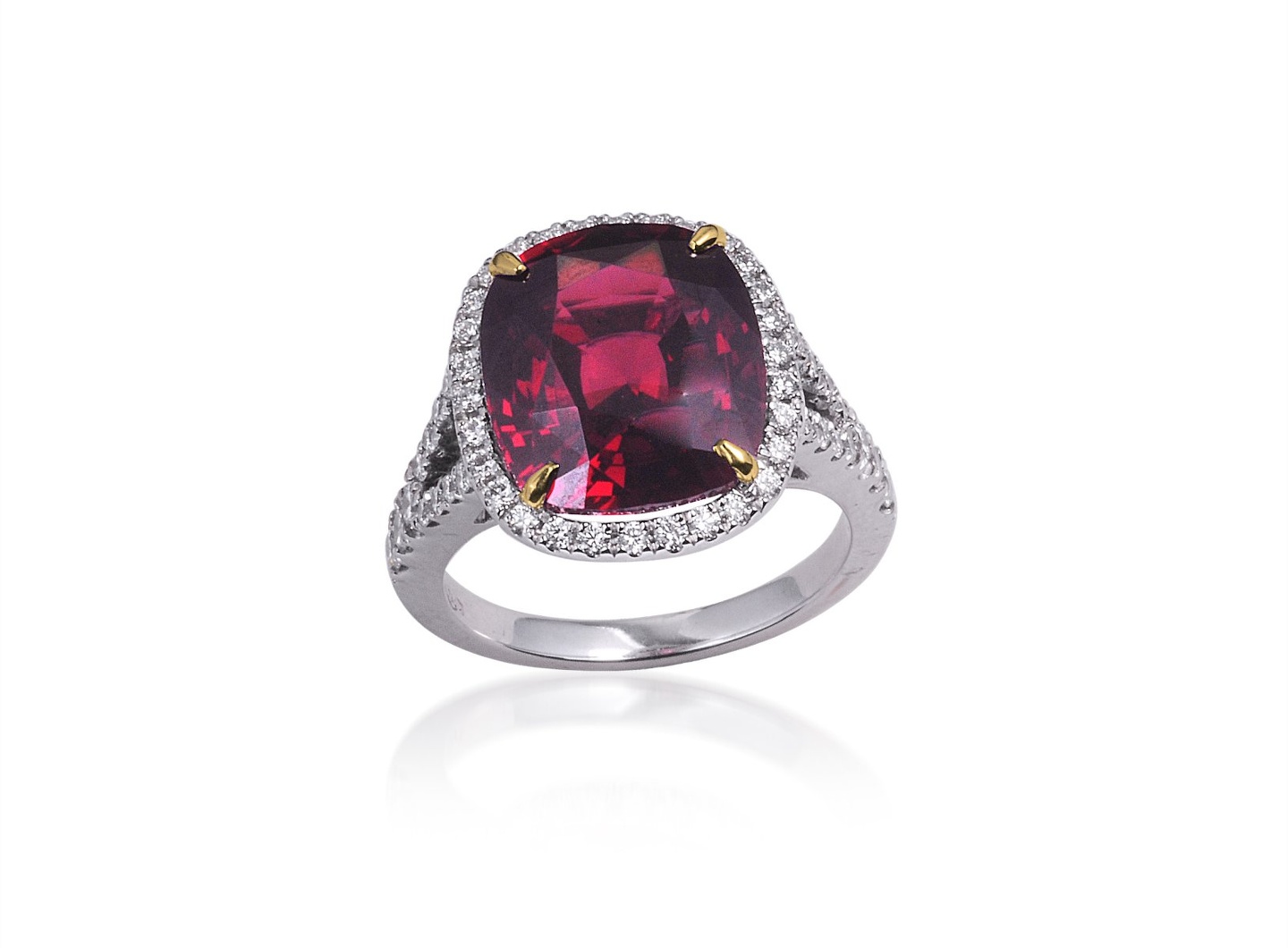 Ceylon Master Gems