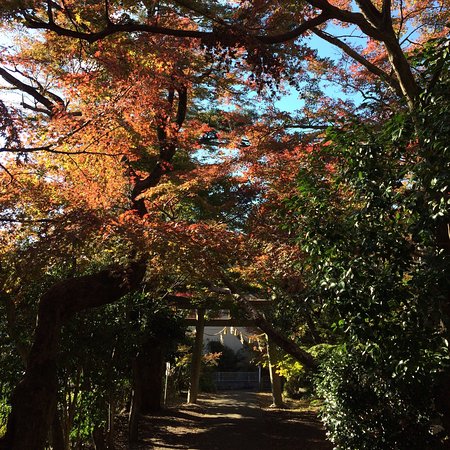 Shotengu Saikoji Temple