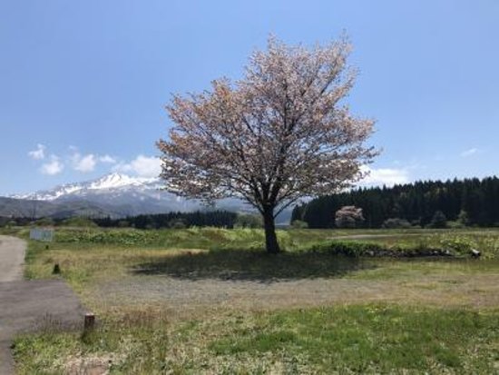 Chokai Blue Line