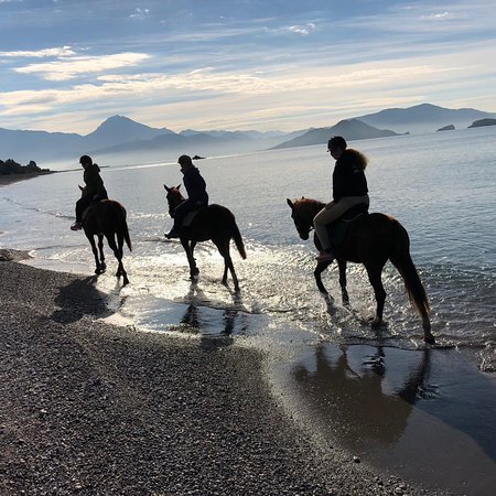 Desperado Horse Ranch