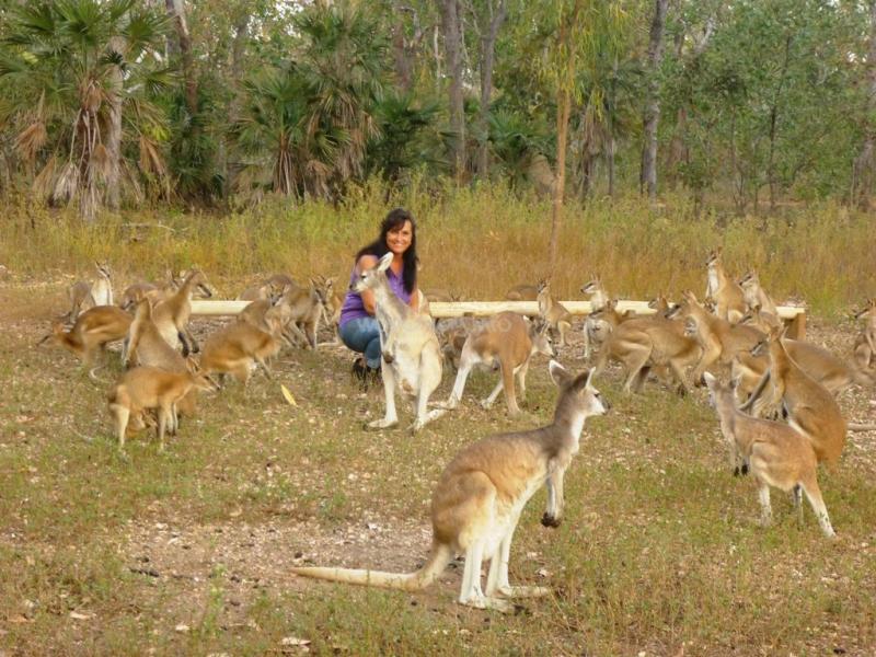 Nina's Ark Wildlife Sanctuary