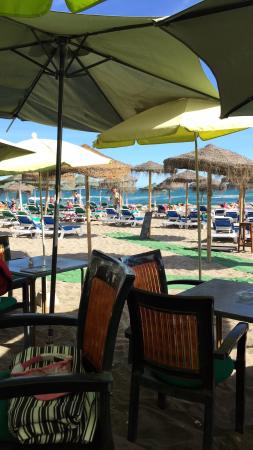 Palms Beach Bar