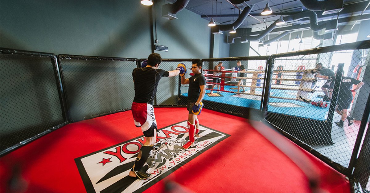 Bangkok Fight Lab
