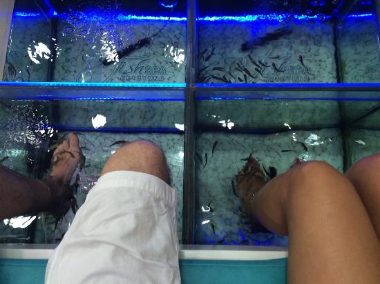 Dr. Fish Spa