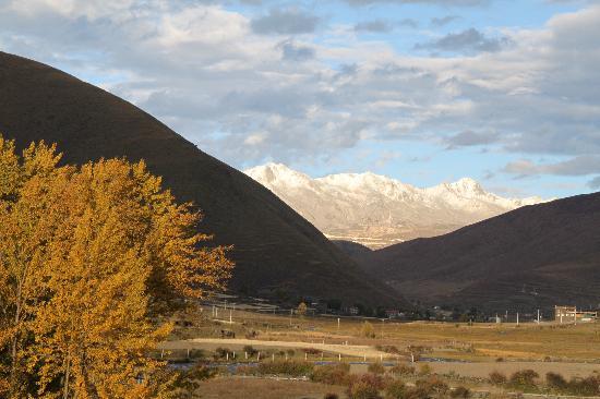 Xinduqiao Town