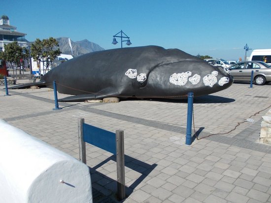 The Whale House Museum