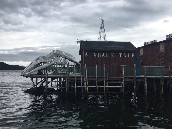Prime Berth Fishing Museum