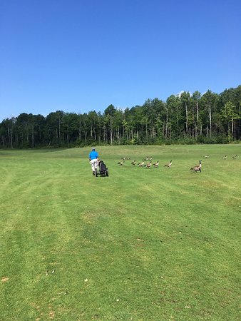 Mountain Woods Golf Club