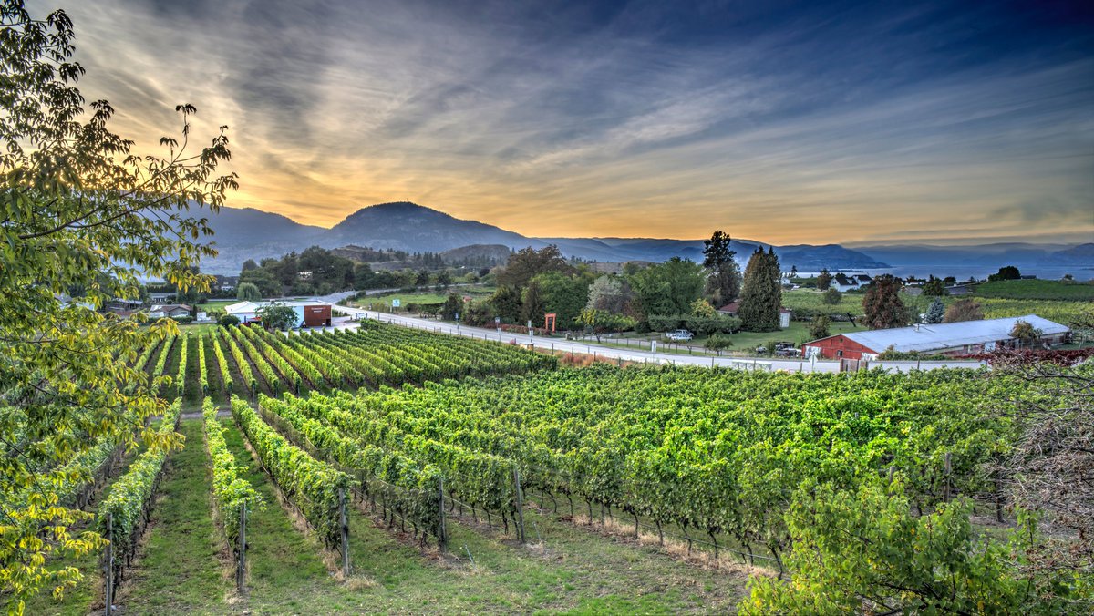 Four Shadows Vineyard and Winery