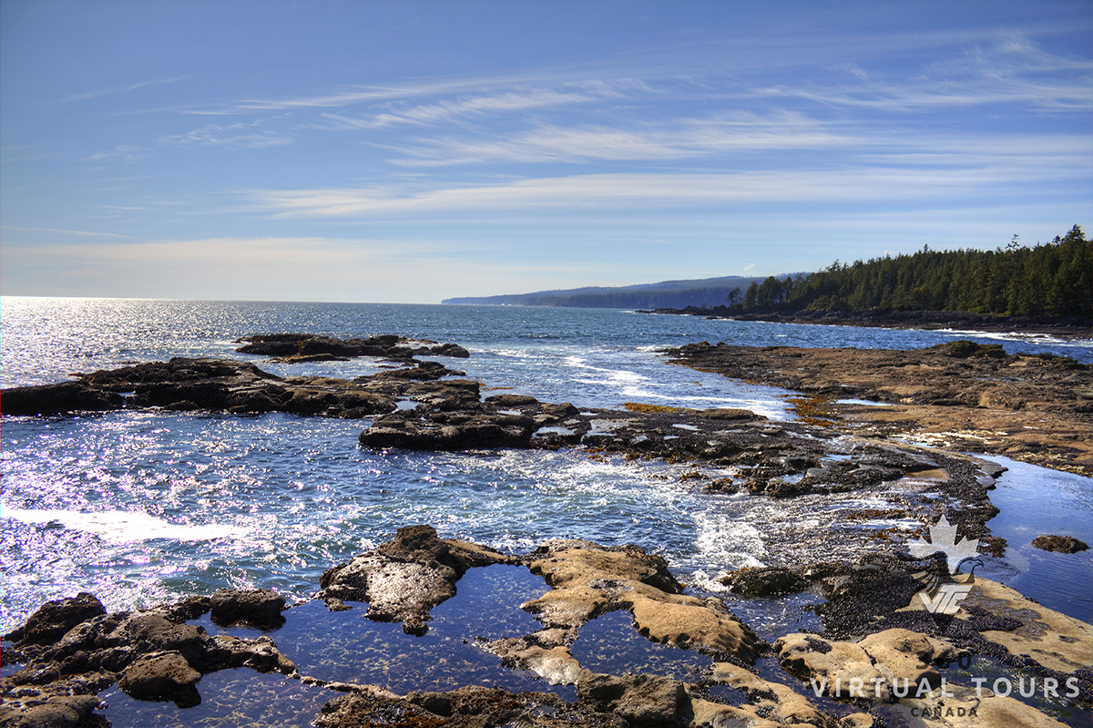 Botanical Beach Provincial Park
