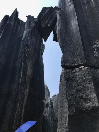 Mt. Zhongling Forest Park