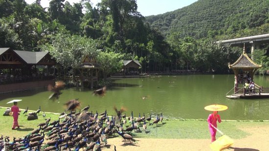 Xishuangbanna Primitive Forest Park
