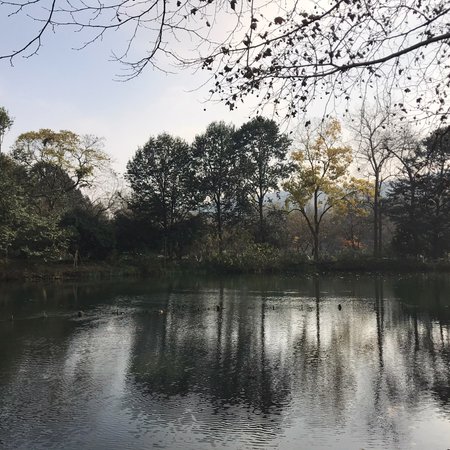 Yanggong Dike