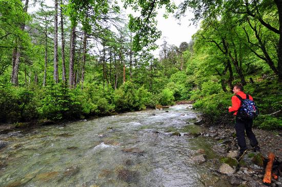 Dulong River Valley