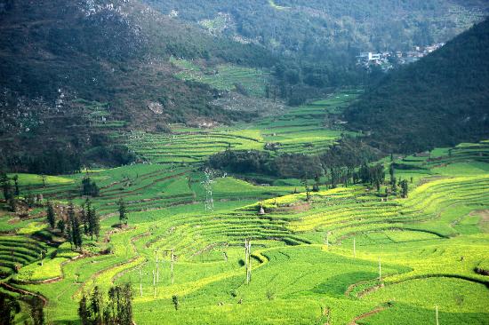 Luosi Field, Luoping