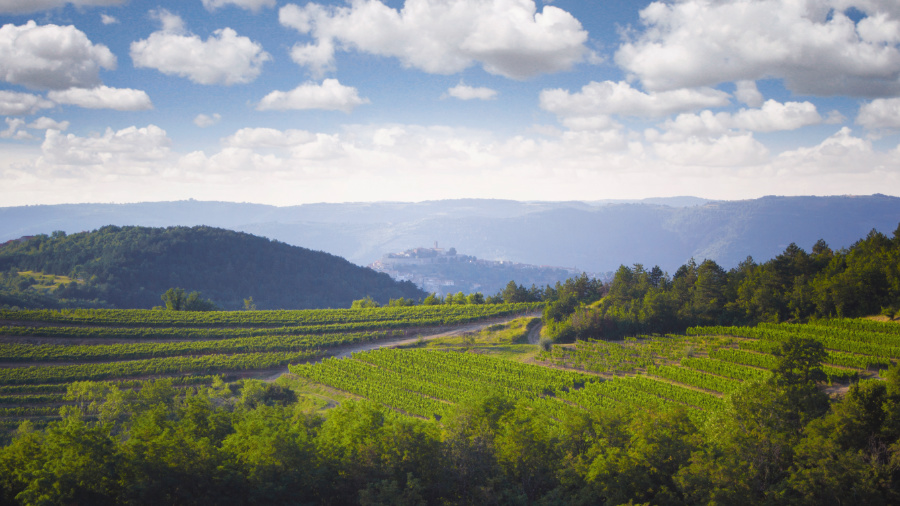 Benvenuti Winery