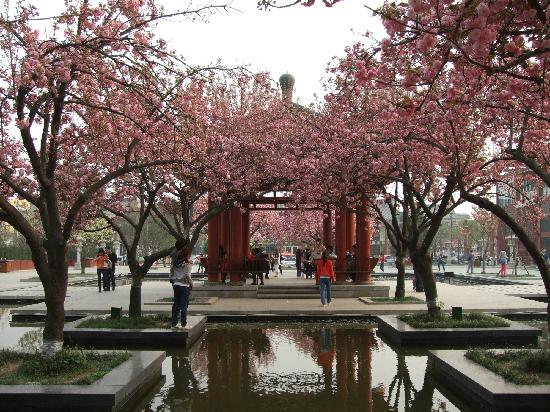 Chuanxiao Park