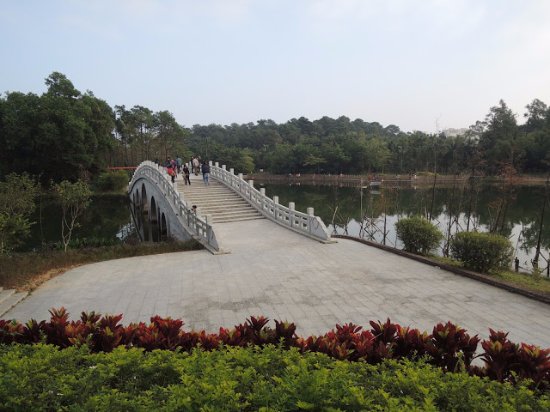 Mt. Jinshan Forest Park