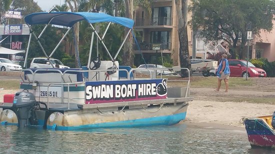 Swan Boat Hire