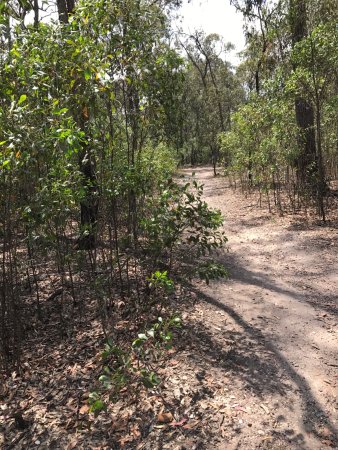 Blores Hills MTB Park