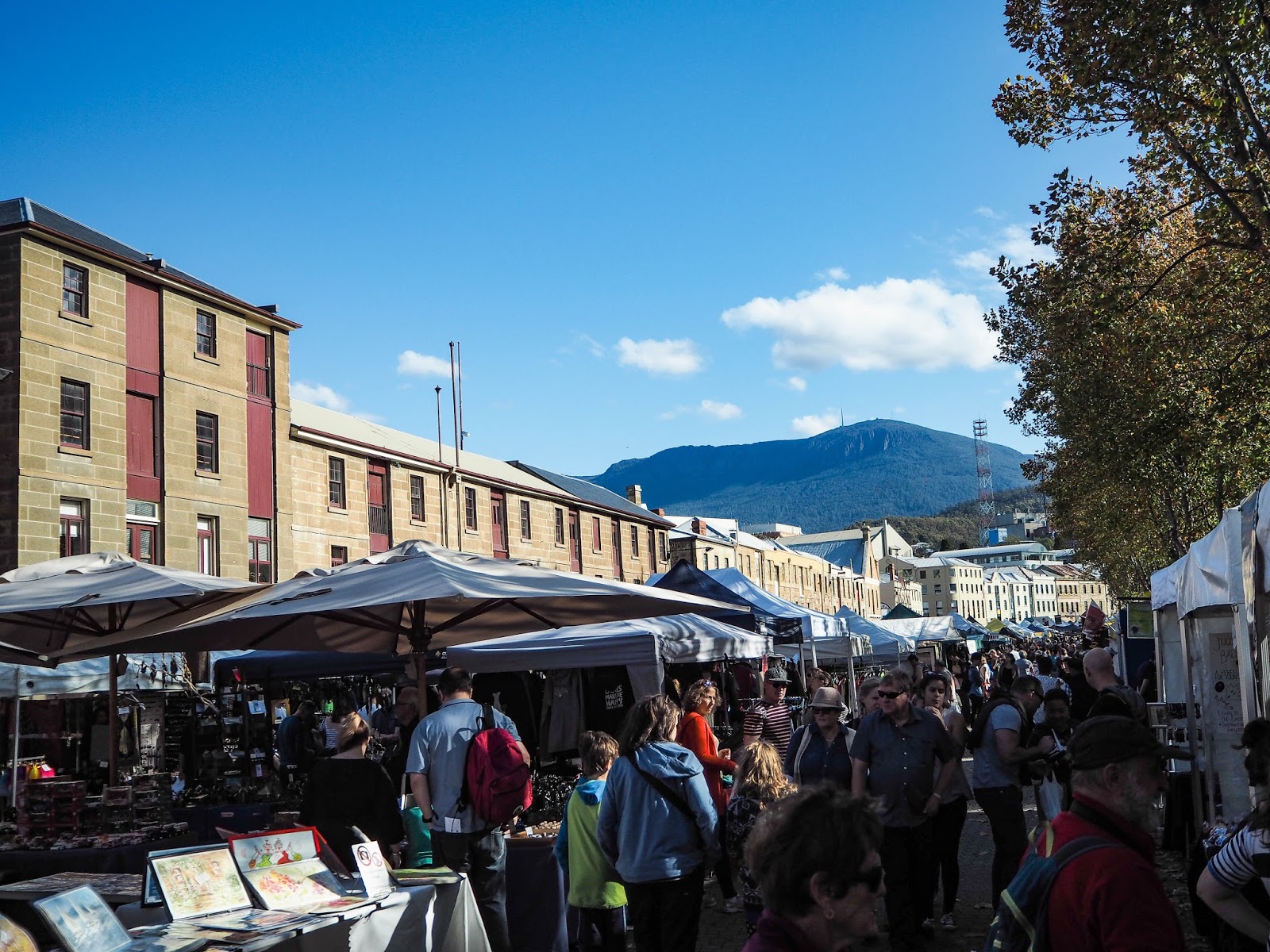 Salamanca Market