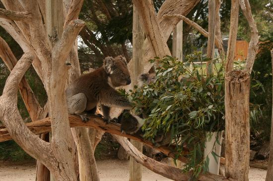Urimbirra Wildlife Park
