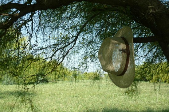 Outdoor Pictures 1