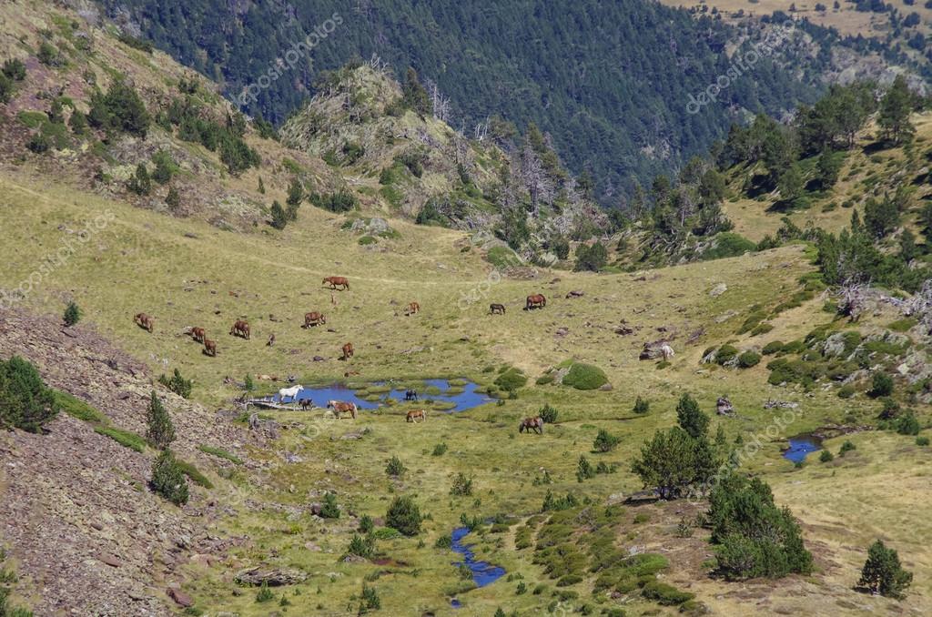 Comapedrosa Highlands Trail