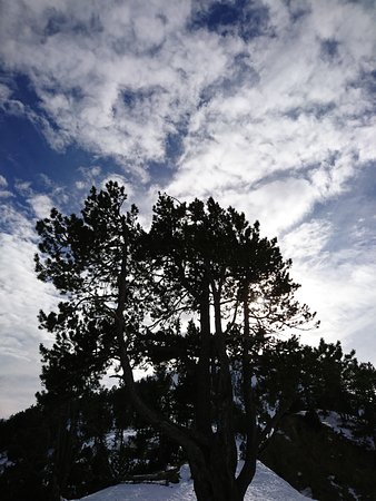 Mirador Coll de la Botella