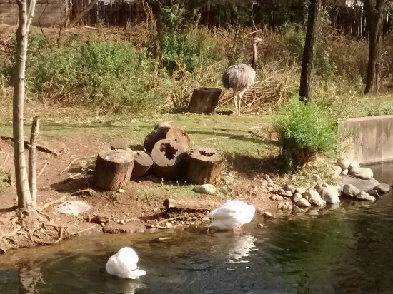 La Granja de la Infancia