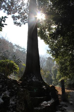 Senhoji Temple