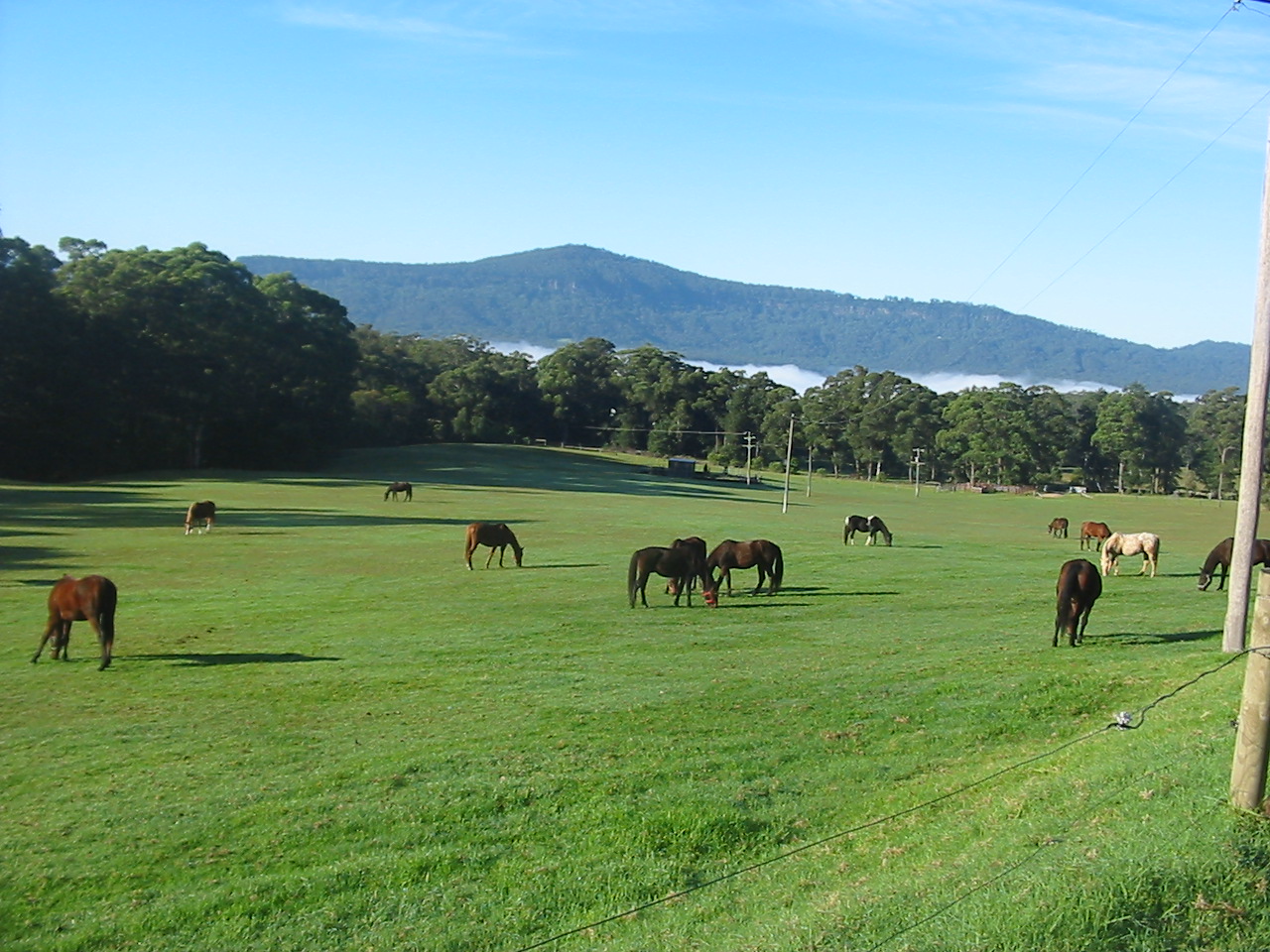 Man from Kangaroo Valley Trail Ride