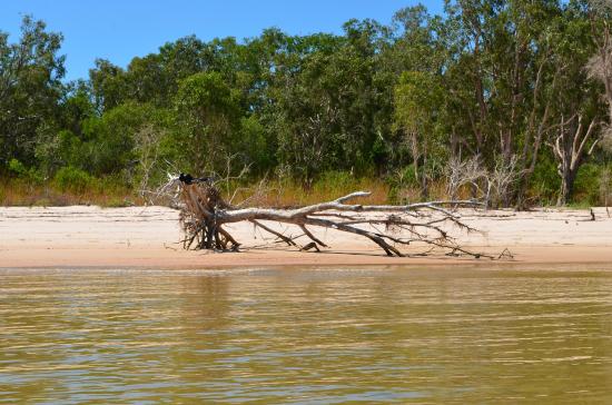 Melville Island