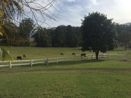 Valery Trails & Horse Riding Centre