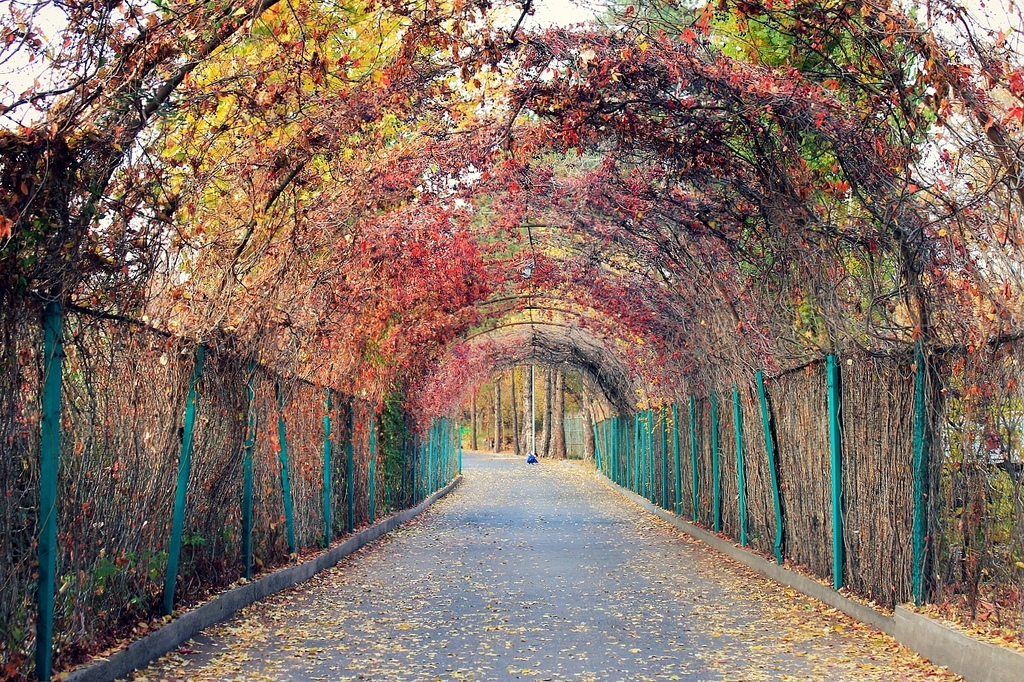 Yerevan Botanical Garden