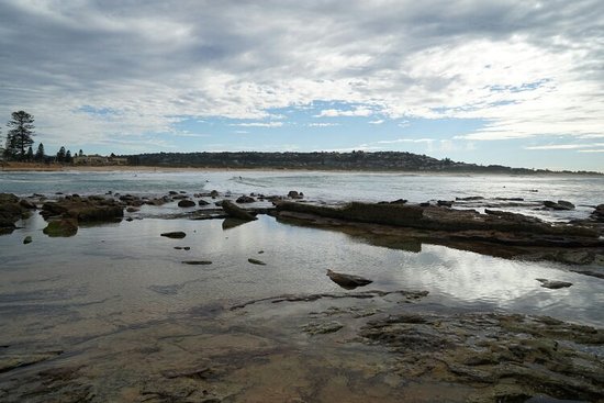 Manly Freshwater Parish