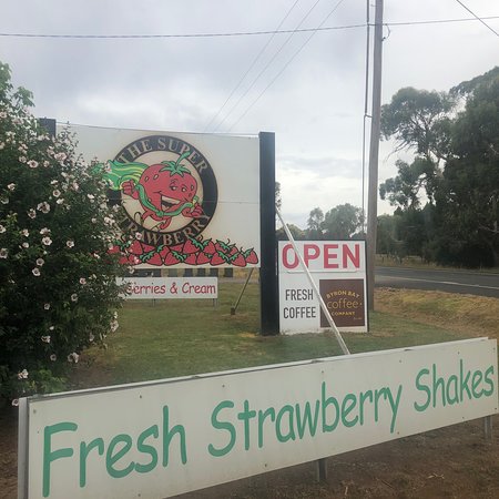 The Super Strawberry