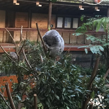 Blackbutt Reserve