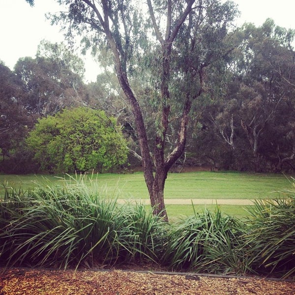 Riverbank Playground