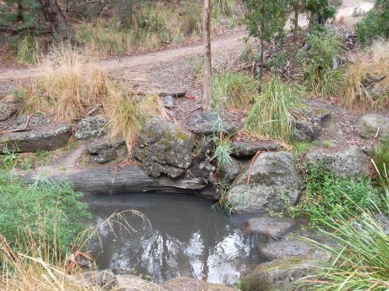 Damper Creek Reserve