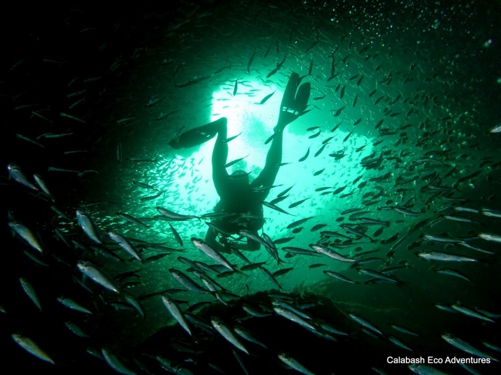 Mermaid's Lair